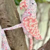 Mithhu Rani Curtain Tie Back/Plush Toy
