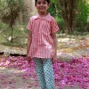 Pink Stripes Organic Cotton Block Printed Shirt