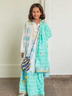Set of 3 - Vrishti Organic Cotton Anarkali