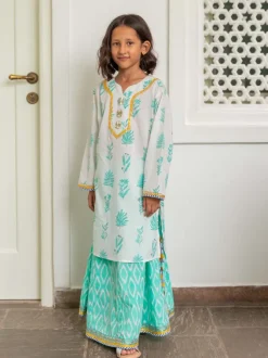 Set of 3 - Vrishti Organic Cotton Anarkali